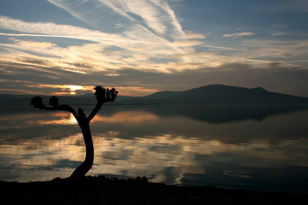 Pálava accommodation 4